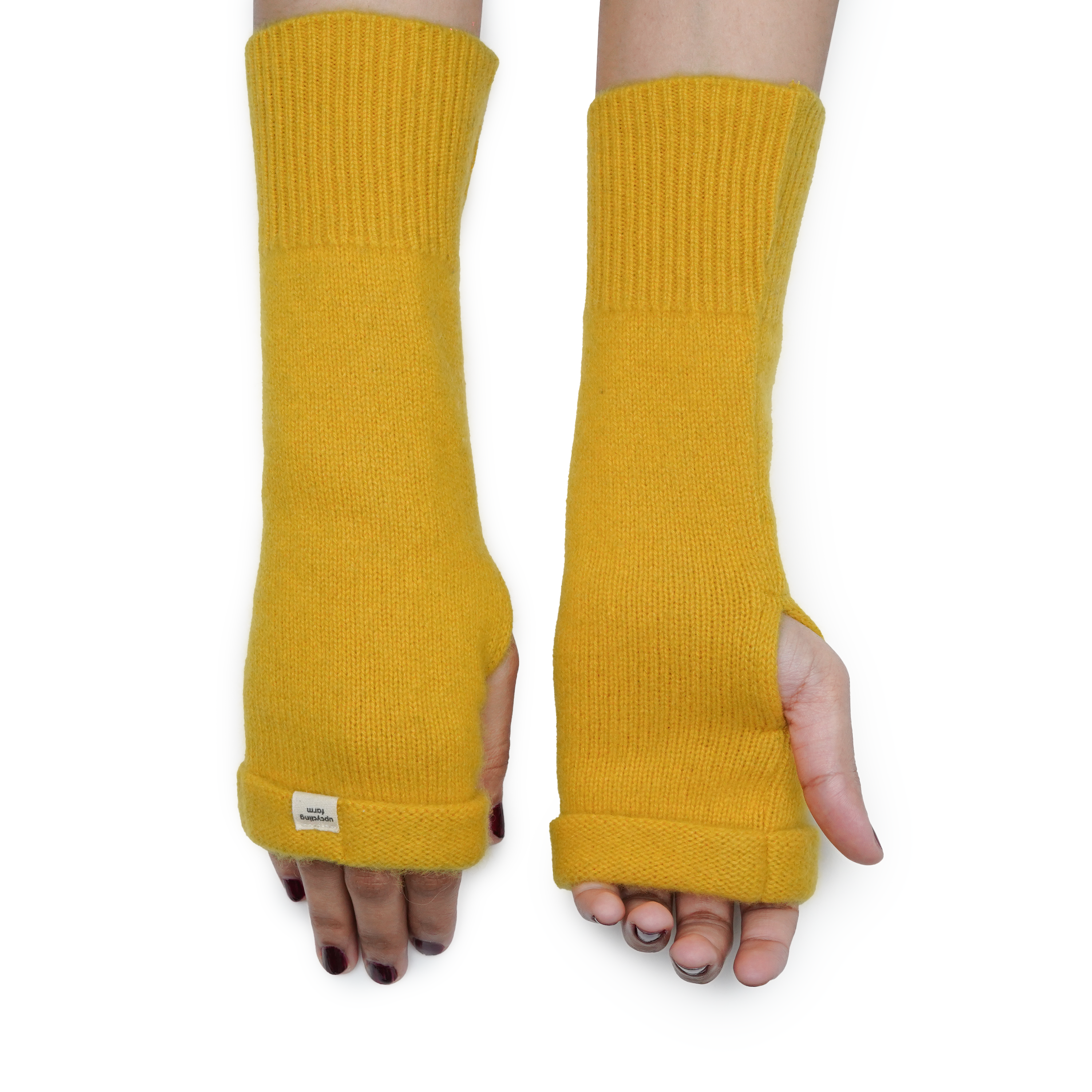 Sunflower Yellow