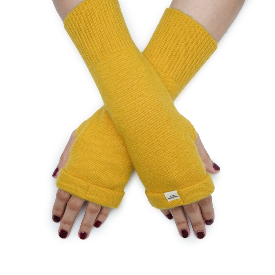 Sunflower Yellow