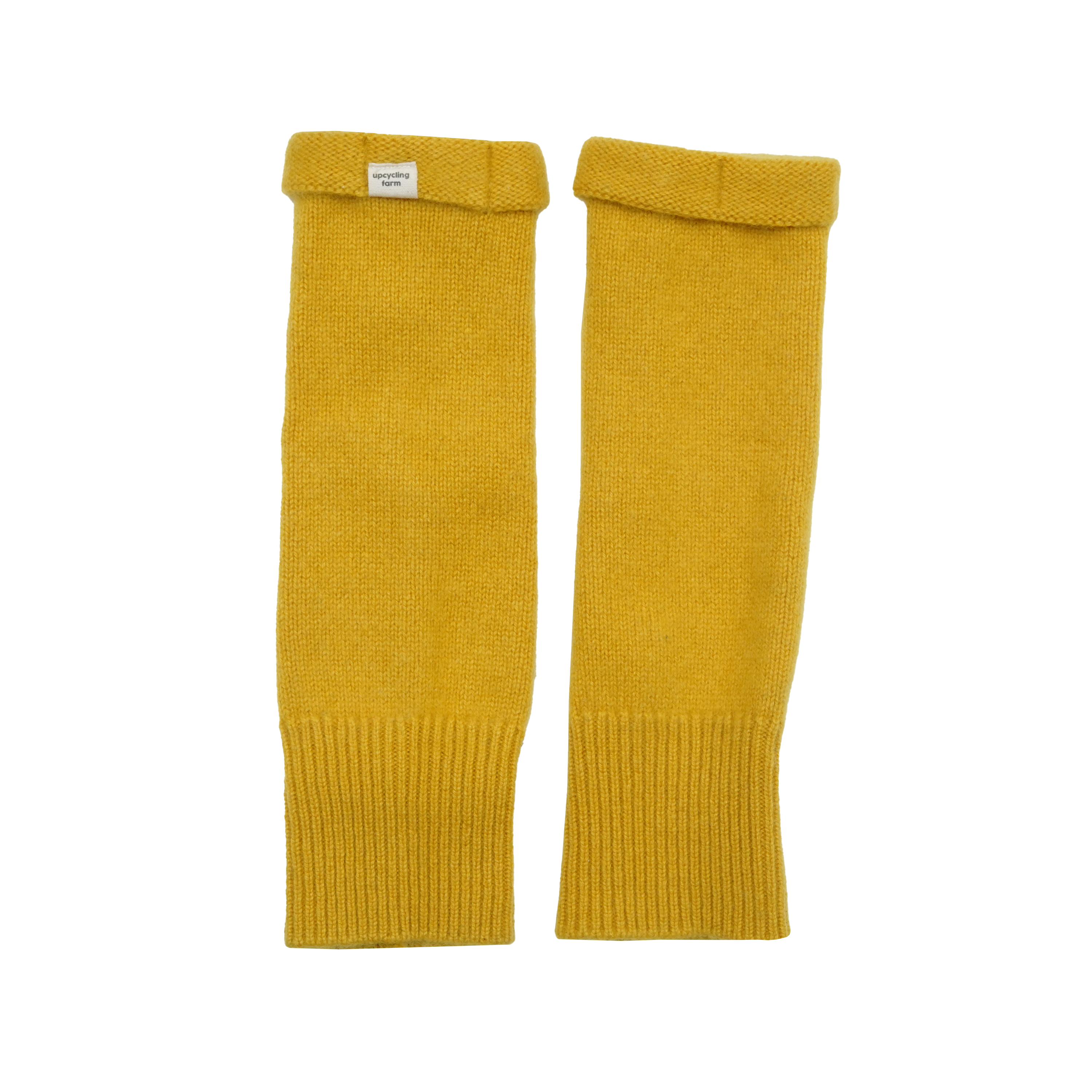 Sunflower Yellow