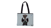 Arctic Aviator