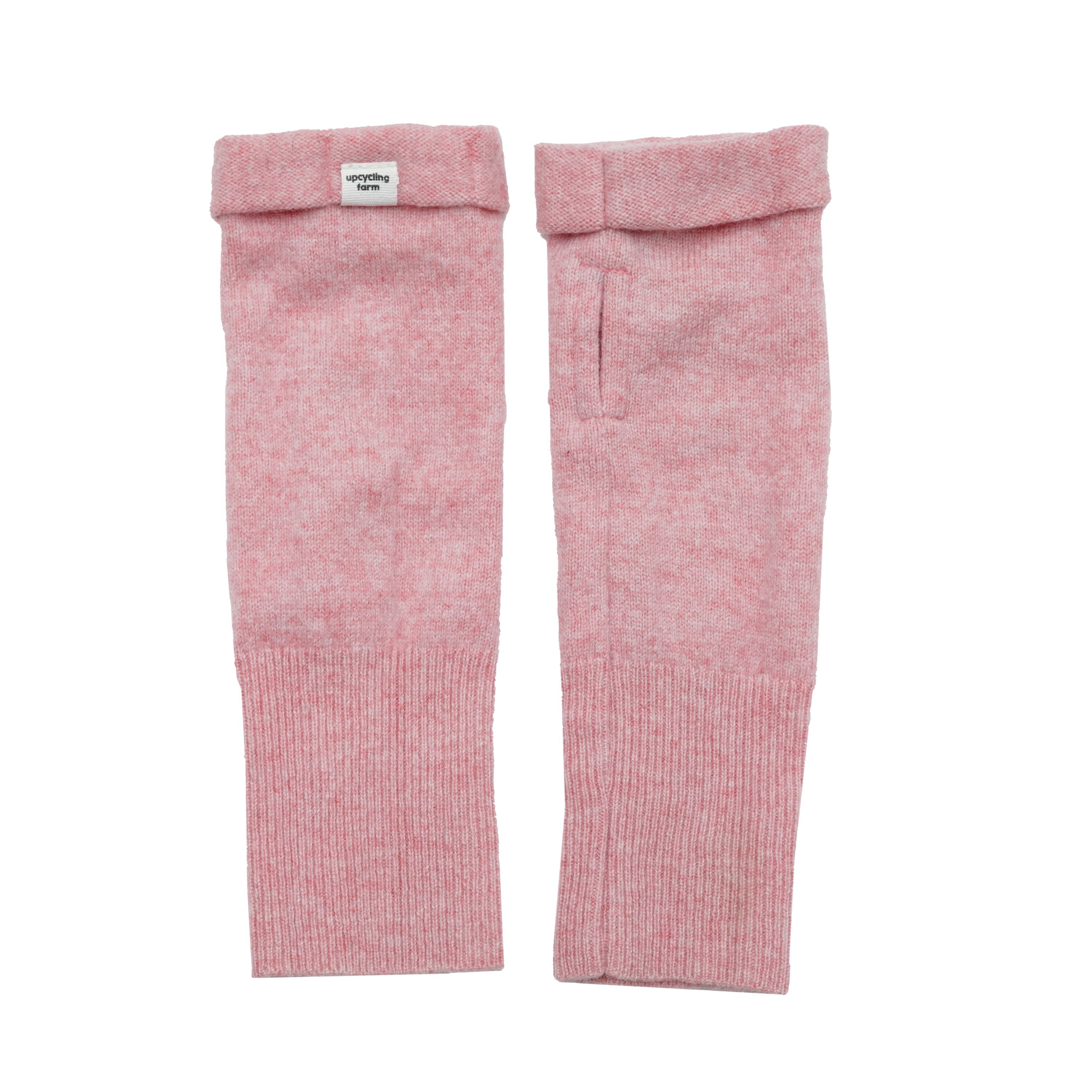 Soft Rose